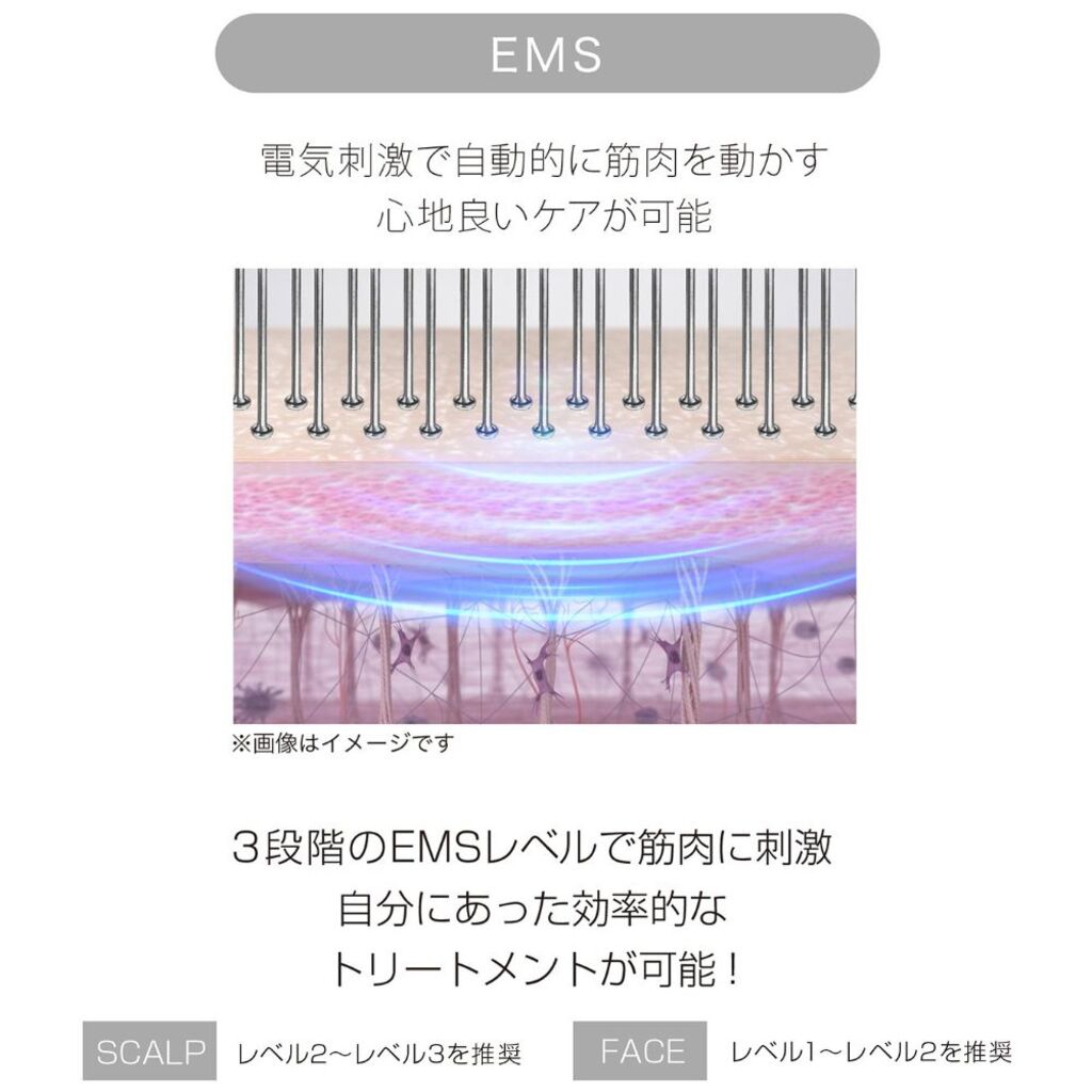 EMS