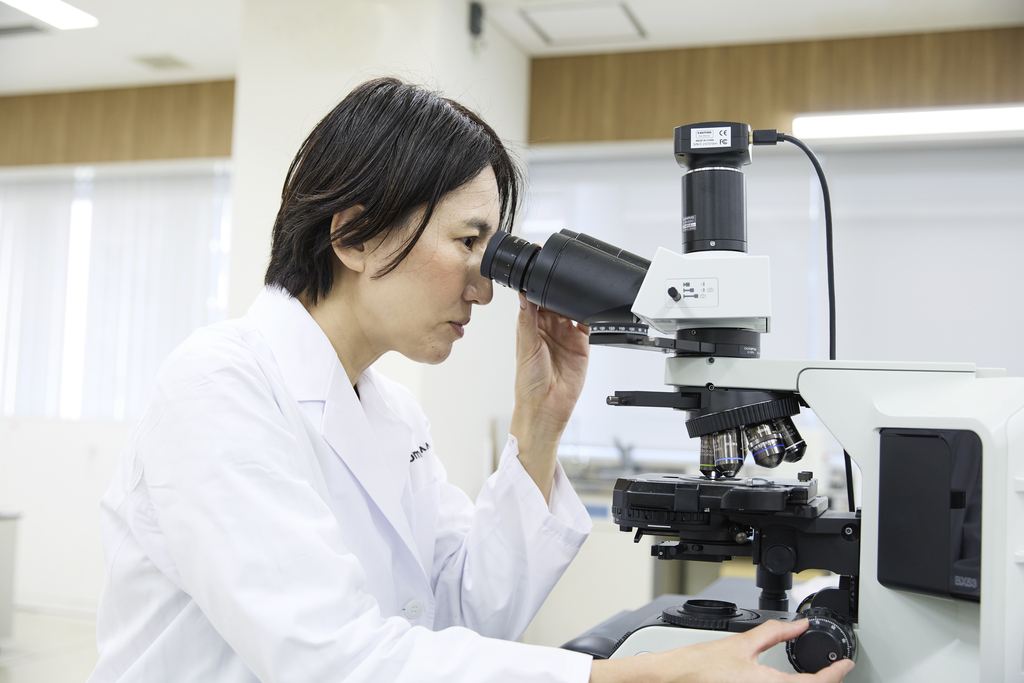 【KUKUILASH】ククイラッシュ