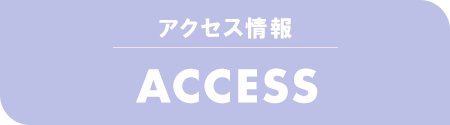 アクセス情報