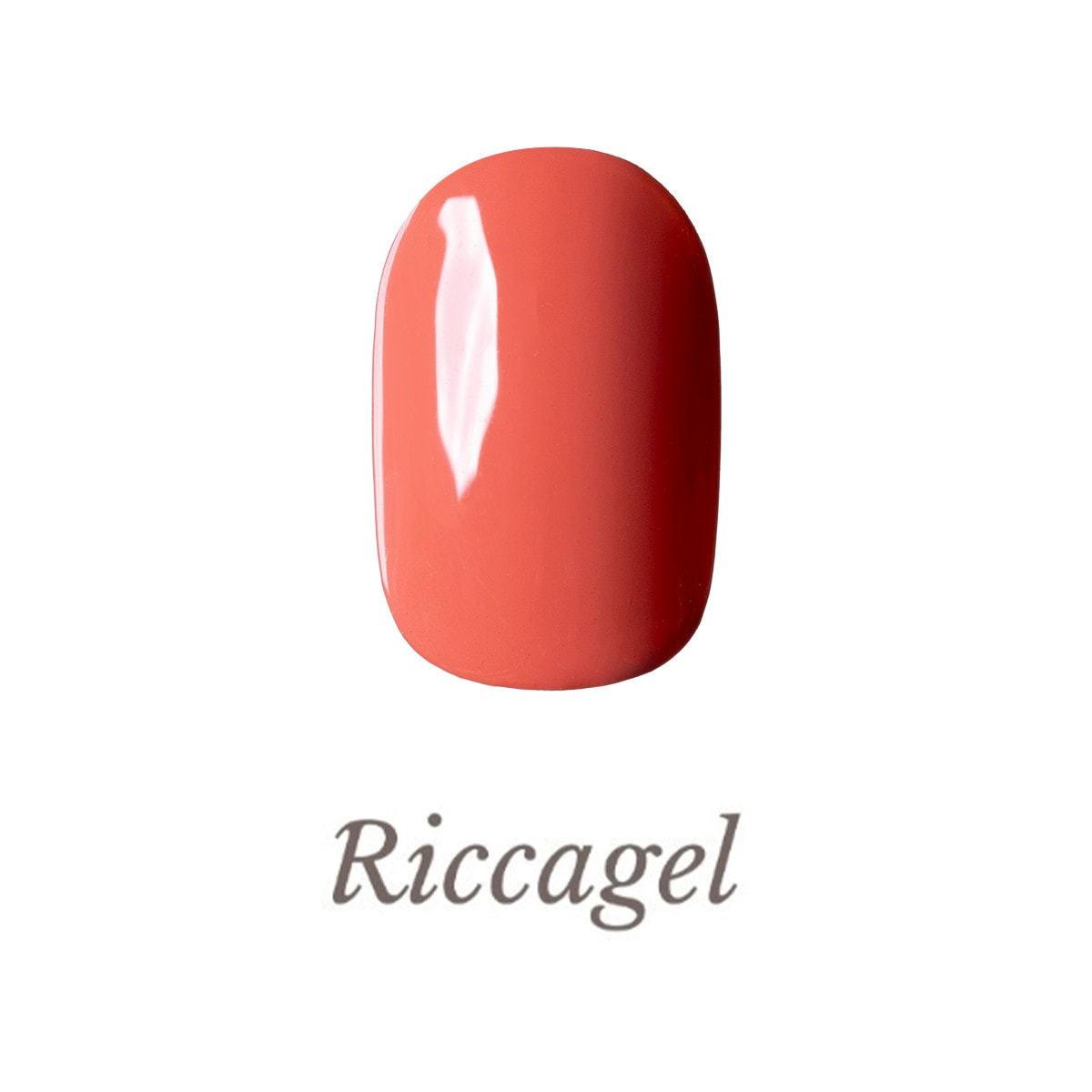 リッカジェル カラージェル 067M 3gの通販・卸売り | アイラッシュガレージ