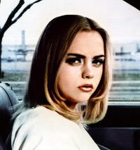 Your public profile picture