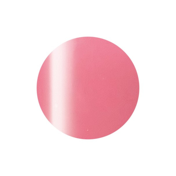 プレスト　プレスト PRESTO（プレスト）カラージェル 248の通販・卸売り | アイラッシュ