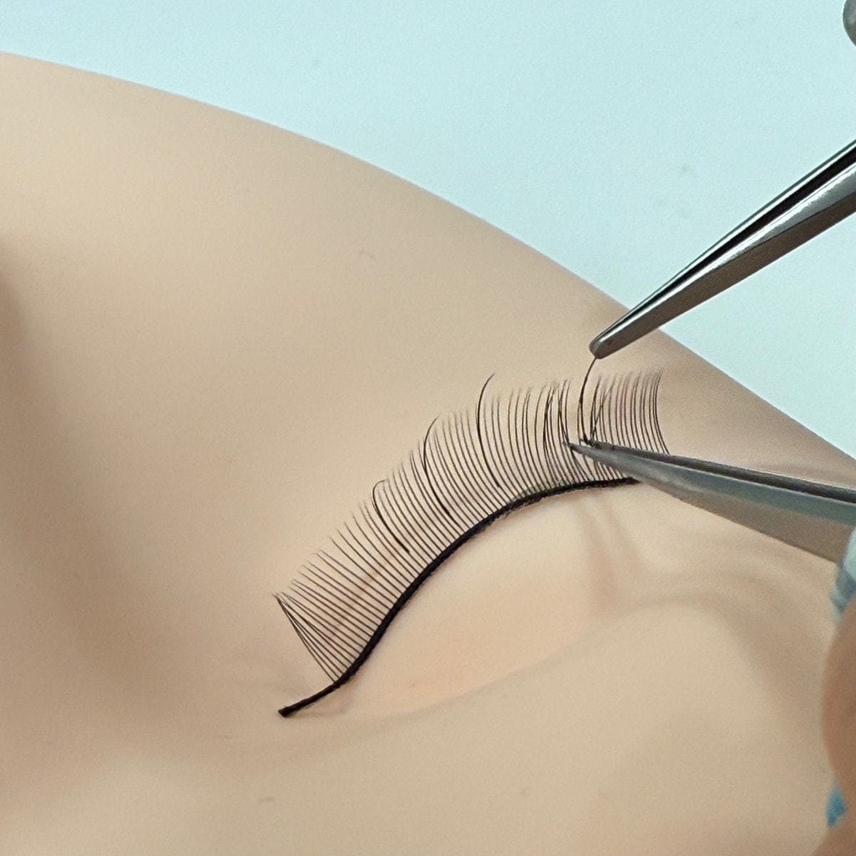 テクニコ】テスタープレート＆つけまつ毛（5個）セットの通販・卸売り