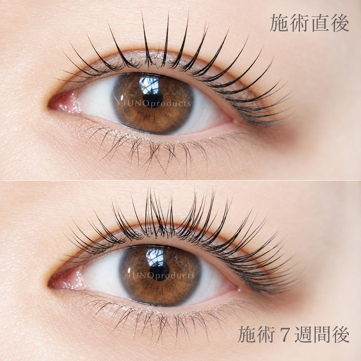 LASHLINK オーガニカルラッシュリフト 1st 20gの通販・卸売り | アイ