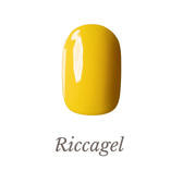 riccagel リッカジェル 3g 049 239 207 220 291 リッカジェル カラージェル 289S 5gの通販・卸売り | アイラッシュガレージ