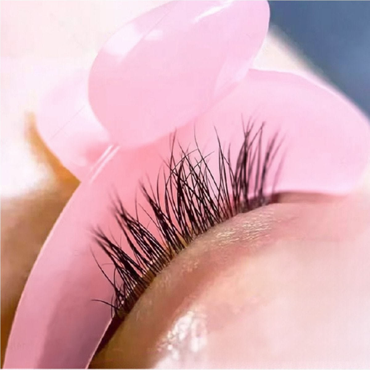 VENUS COSME】EYE GUARD（アイガード）の通販・卸売り | アイラッシュ