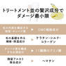 【Bring Up】セッティングクリーム 1&2 セット 6