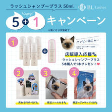 【BL】ラッシュシャンプープラス(50ml)ハッピー泡ニャー5+1set