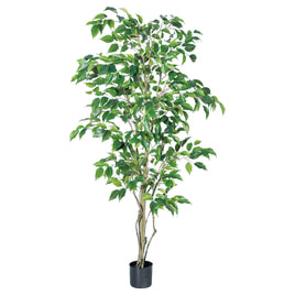 観葉植物の卸・通販 | サロン器具/備品 | アイラッシュガレージ