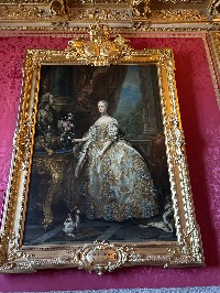 Your public profile picture