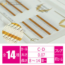 【Flap eyelashes】3本フレア 120束