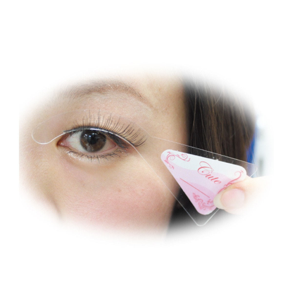 テクニコ】テスタープレート＆つけまつ毛（5個）セットの通販・卸売り