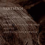 ARTiS di Voce ハイドレーティングハンドクリーム 40g SANTALUM 3