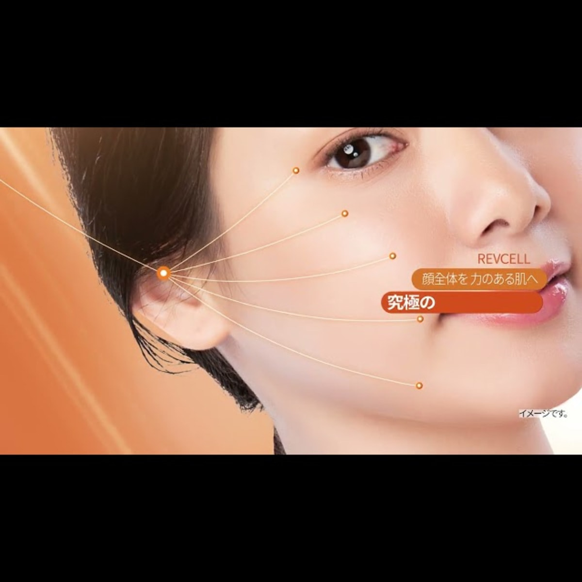 REVCELL】プレミアムインテンシブスキンアクティブファイバー 30mg×8個