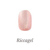 リッカジェル カラージェル DSMG02 2.7gの通販・卸売り | アイラッシュ