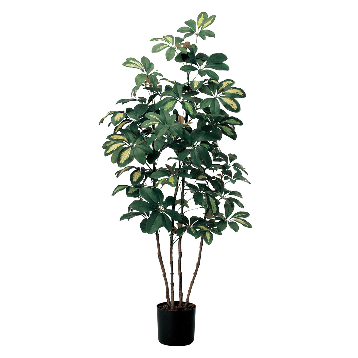 ポピー ポピー 観葉植物 シェフレラアンガスティポット フェイクグリーン 全長1300mm GLPS-1532 観葉植物