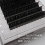 フラットマットラッシュ(BLK)[Lカール太さ0.10長さ11mm] 9