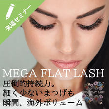 軽量＆ボリューム＆持続  すべてメガ級に叶える メガフラットラッシュ