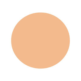 ワミレス　パウダリーファンデーション248✕2個 ワミレス パウダリーファンデーション248✕2個 ファンデーション