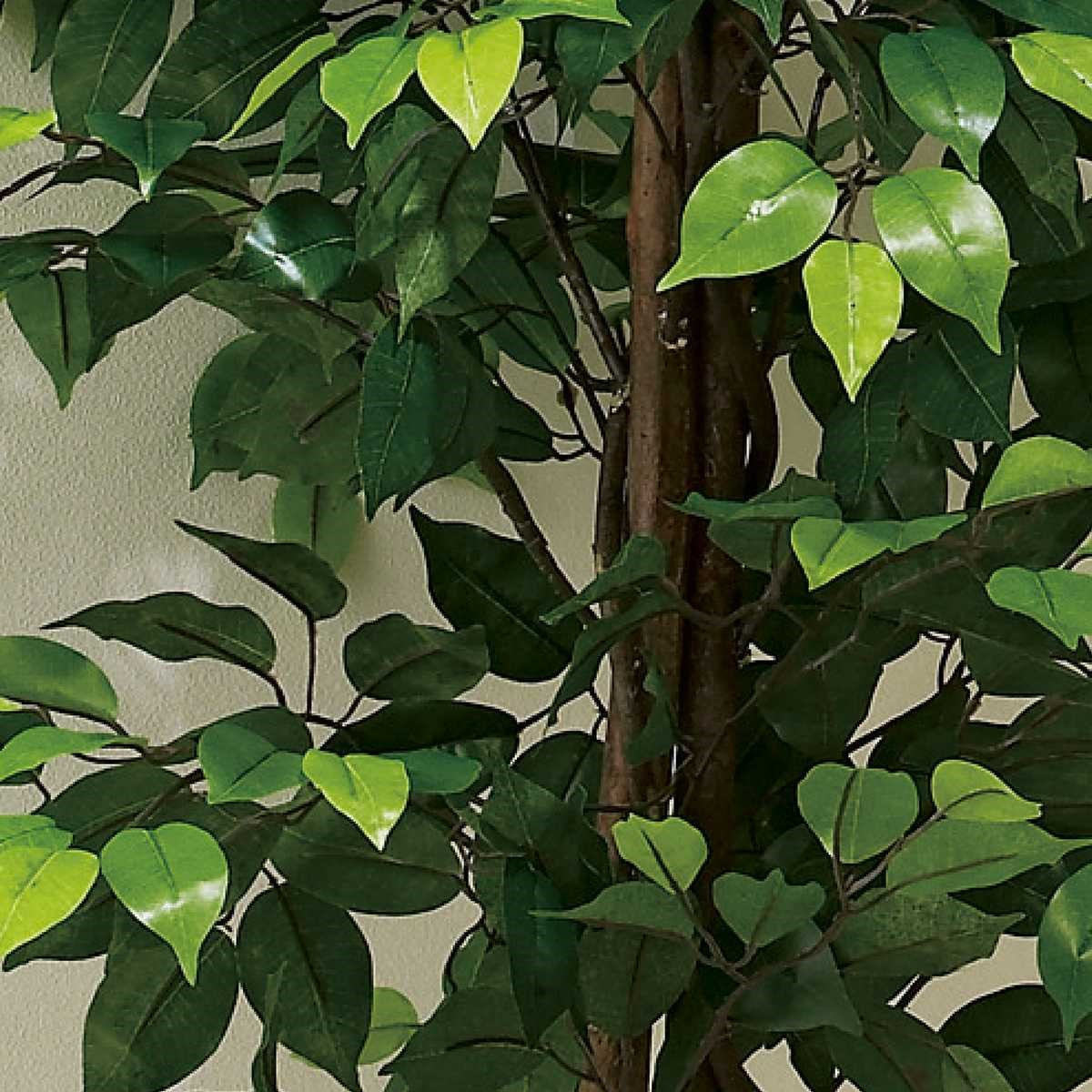 ベンジャミンさん専用　カツラの木　/136 人工樹木 フェイクグリーン ＜ベンジャミングリーン＞H180cmの通販