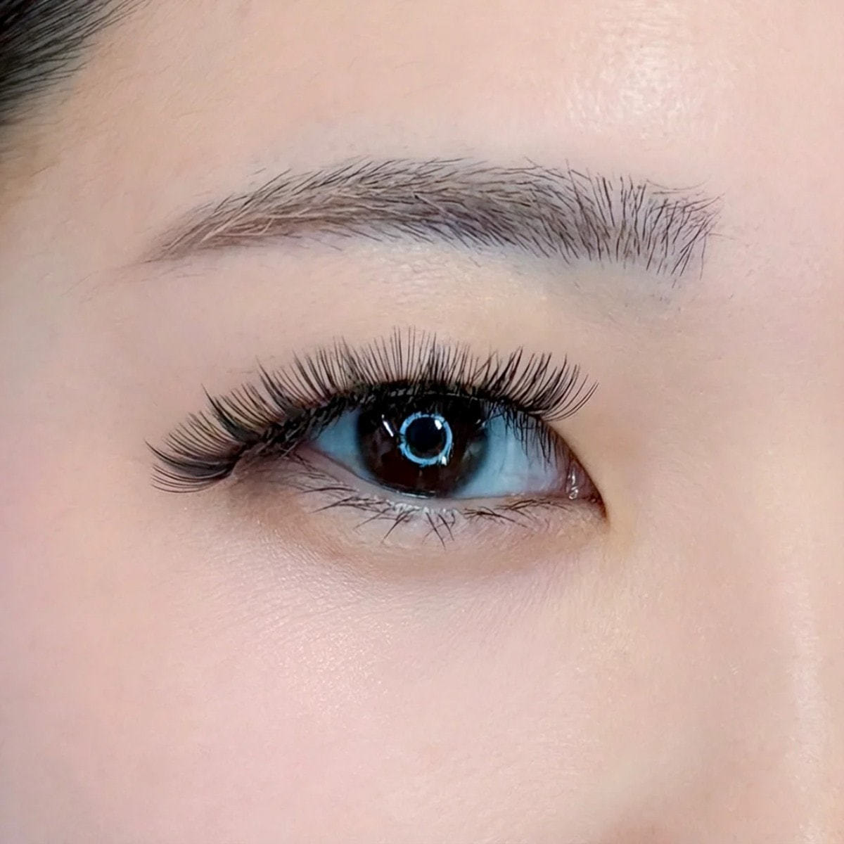 フィルラッシュ＜デザイニング＞7種MIX [Jカール]の通販・卸売り