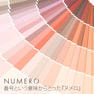 【NUMERO】フラットラッシュ＜ドロップブルー＆アイシーホワイトMIX＞ 9