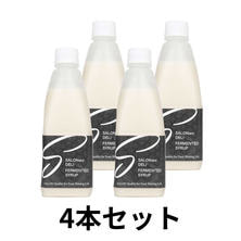 SALONwo DELI（サロンヲ デリ）発酵シロップ 500g 4本セット
