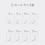 フラットマットラッシュ(BLK)[Lカール太さ0.10長さ11mm] 12