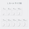 フラットマットラッシュ(BLK)[Lカール太さ0.10長さ11mm] 10