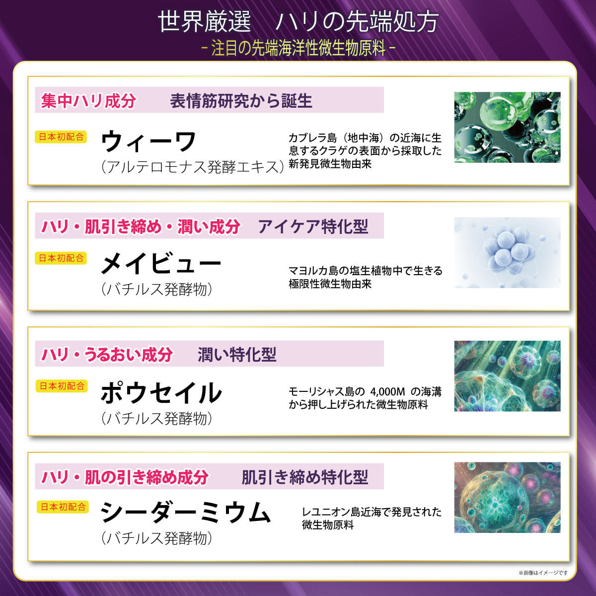 ビジュドゥメール ボーテアンバリエンテ アドバンスド エイトセラム