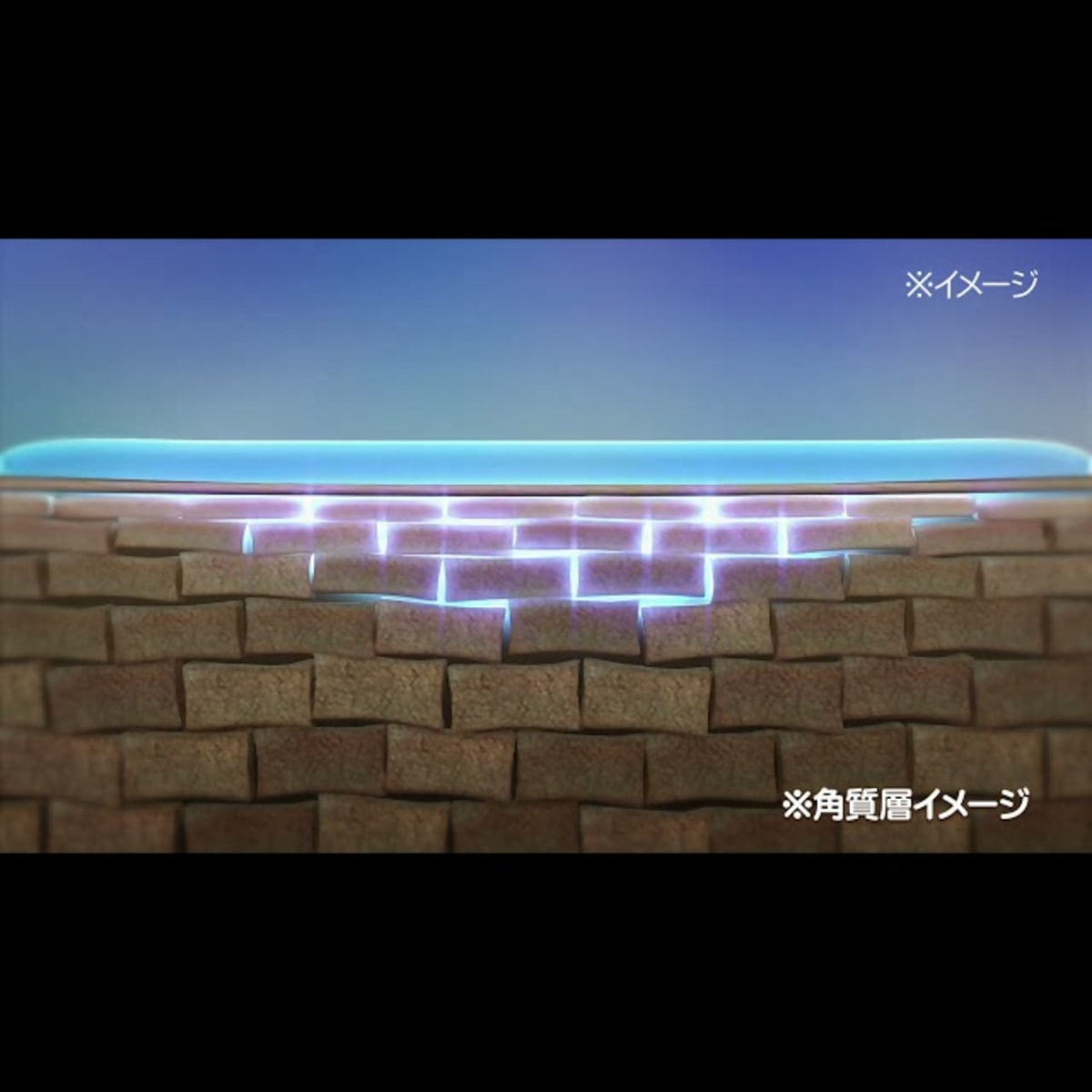 ビジュドゥメール ボーテ ボーテアンバリエンテ アドバンスド エイト