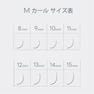 フラットマットラッシュ(BLK)[Lカール太さ0.10長さ11mm] 11