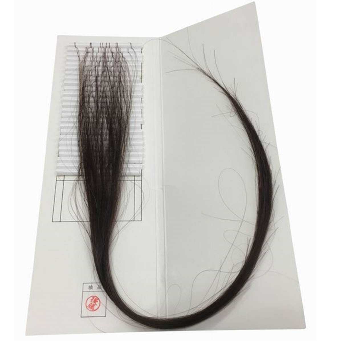 エクステ増毛WING-UPループ《キャメルブラウン》30cm 1000本（4本