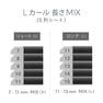 フラットマットラッシュ(BLK)[Lカール太さ0.10長さ11mm] 13