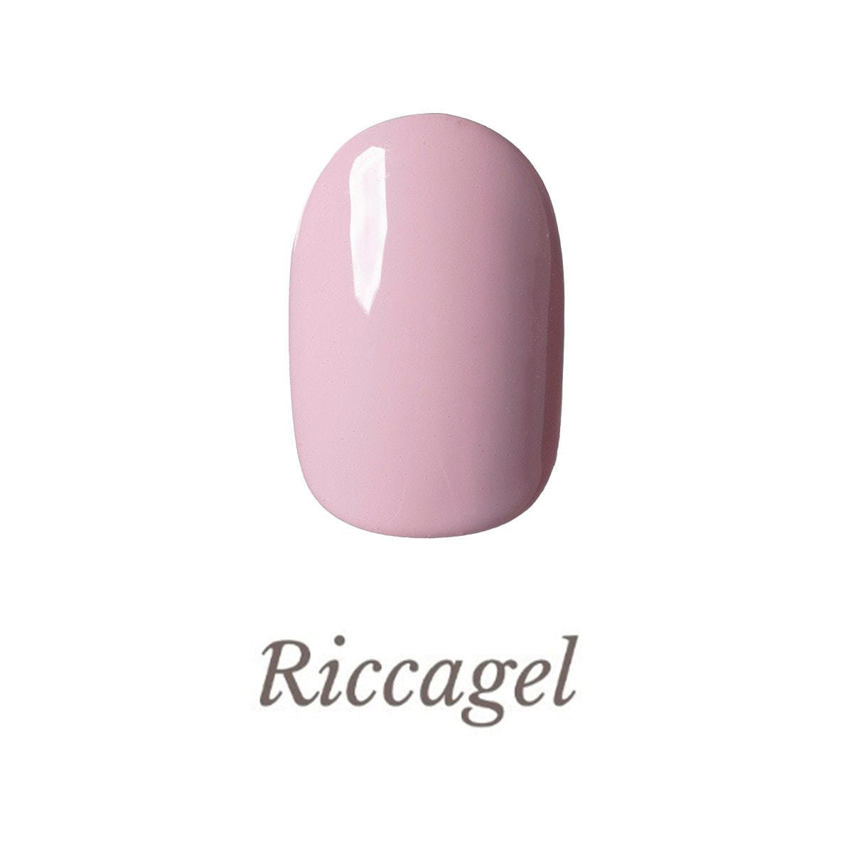 リッカジェル カラージェル 204M 3gの通販・卸売り | アイラッシュガレージ