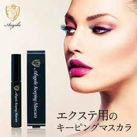 あっぷちゃん専用 未使用】ANEST IWATA/アネスト岩田 IS-51 ☆ オイルフリー ミニ