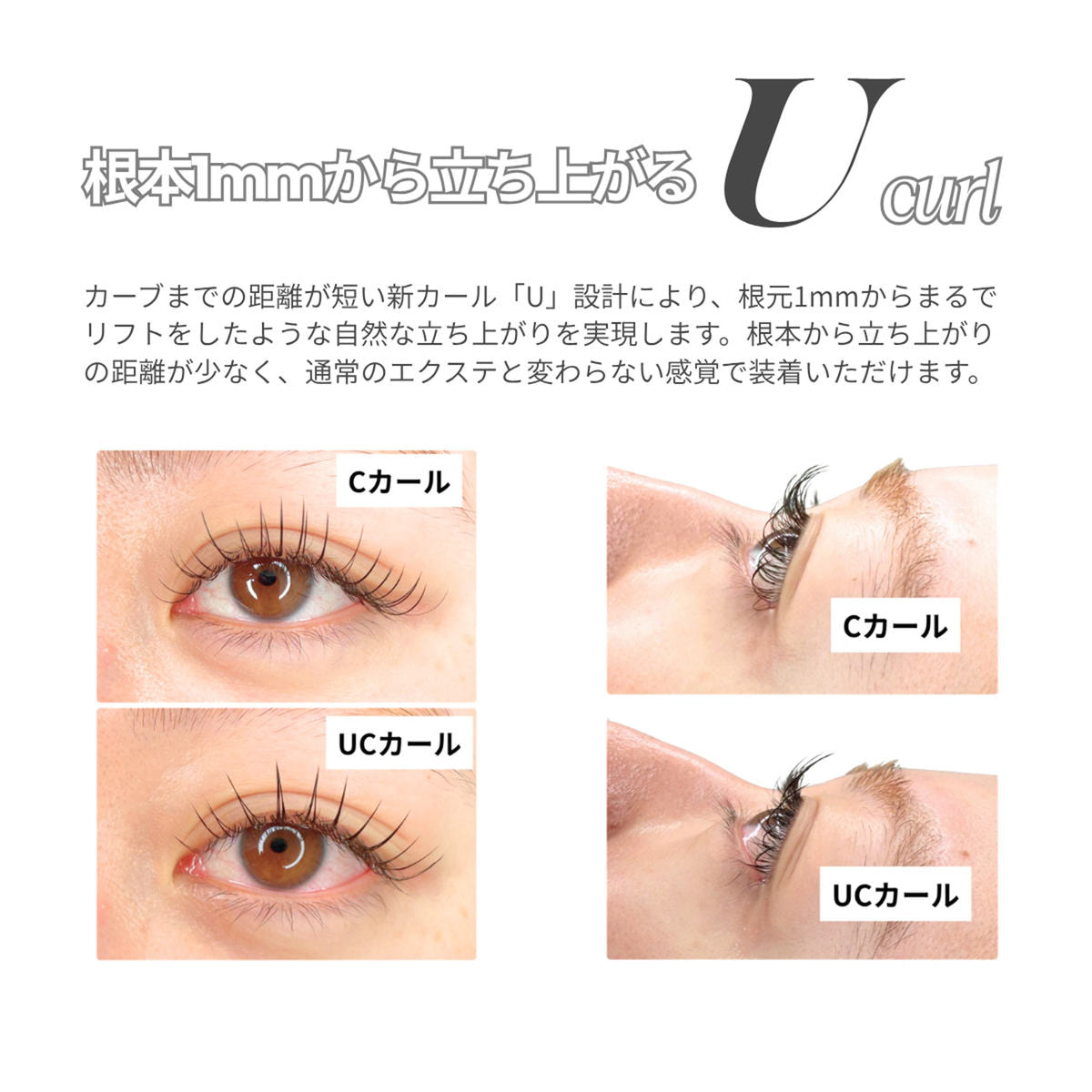CRAZY LASH［UJカール 太さ0.07 長さ8-13MIX1］の通販・卸売り | アイ