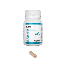 ワカサプリ 乳酸菌 （90粒入り）