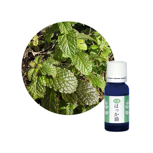 フレーバーライフ 和種はっか油 15ml
