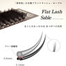 Flatラッシュ・セーブル[Dカール太さ0.15長さ12mm] 2