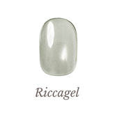 アイアンサンドジェル リッカジェル アイアンサンドジェル FE00 3gの通販・卸売り