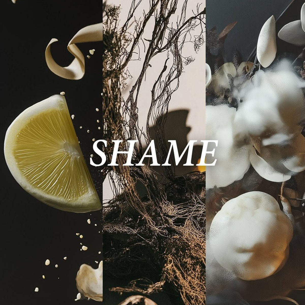 MAI OHW MAI マーク5/ハンドウォッシュ SHAME《恥》の通販・卸売り