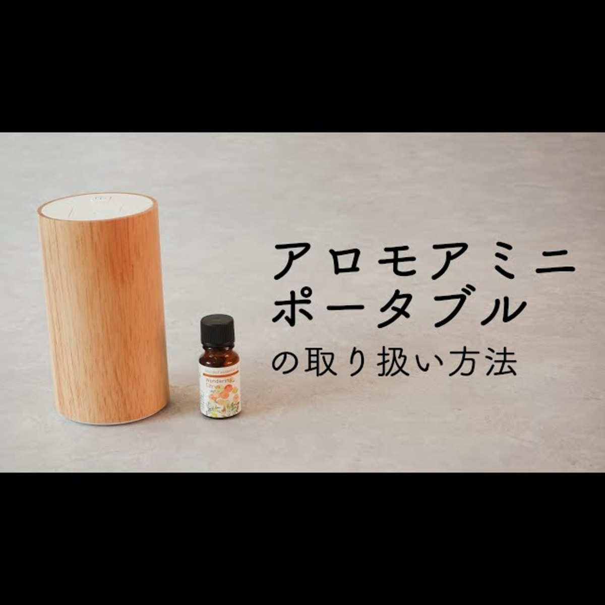 生活の木 アロモアミニポータブル ウッドの通販・卸売り | アイ 