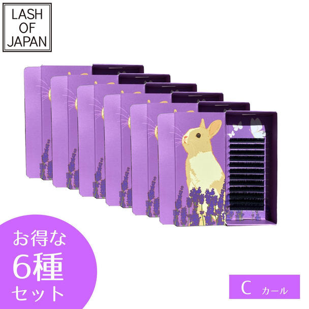 【LASH OF JAPAN】レーザーフラットラッシュ[Cカールセット] 1