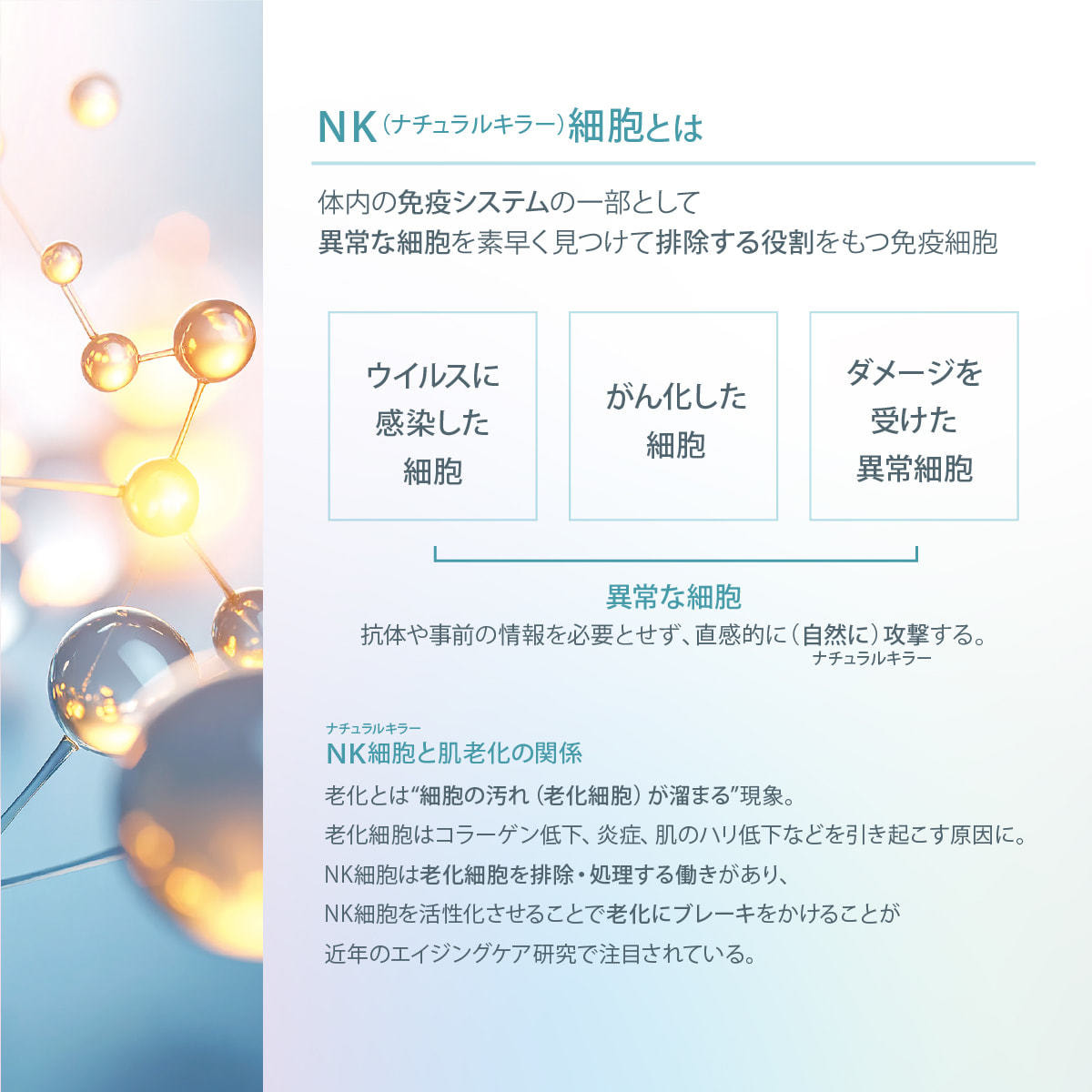 ICR Beauty HD-KANRI NK細胞原液 30mlの通販・卸売り | アイラッシュ
