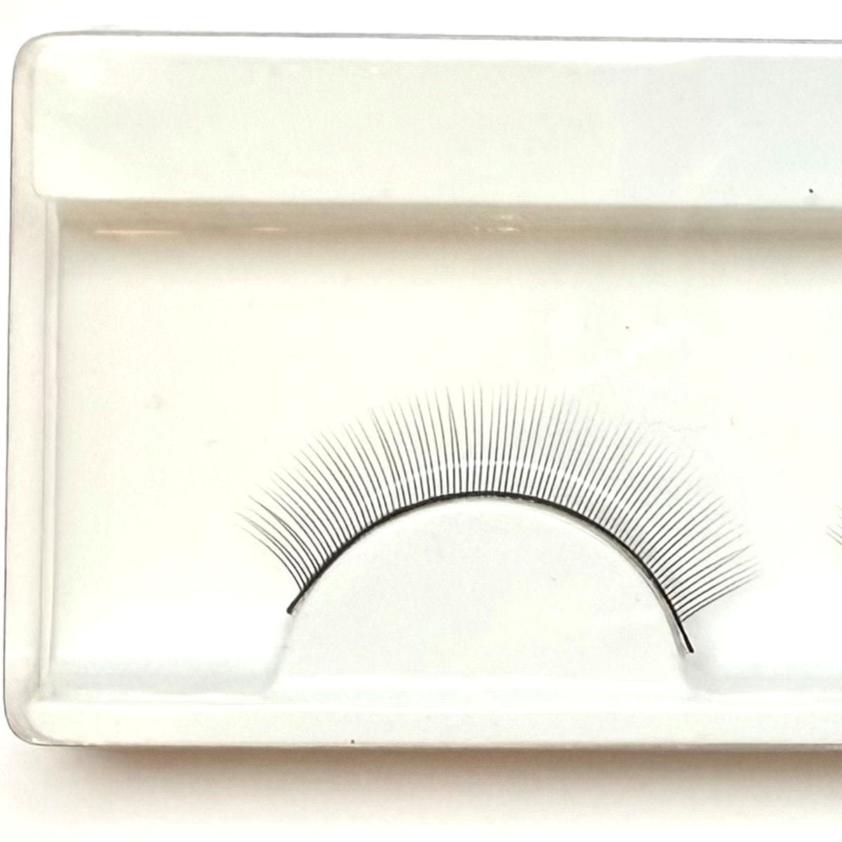 テクニコ】テスタープレート＆つけまつ毛（5個）セットの通販・卸売り