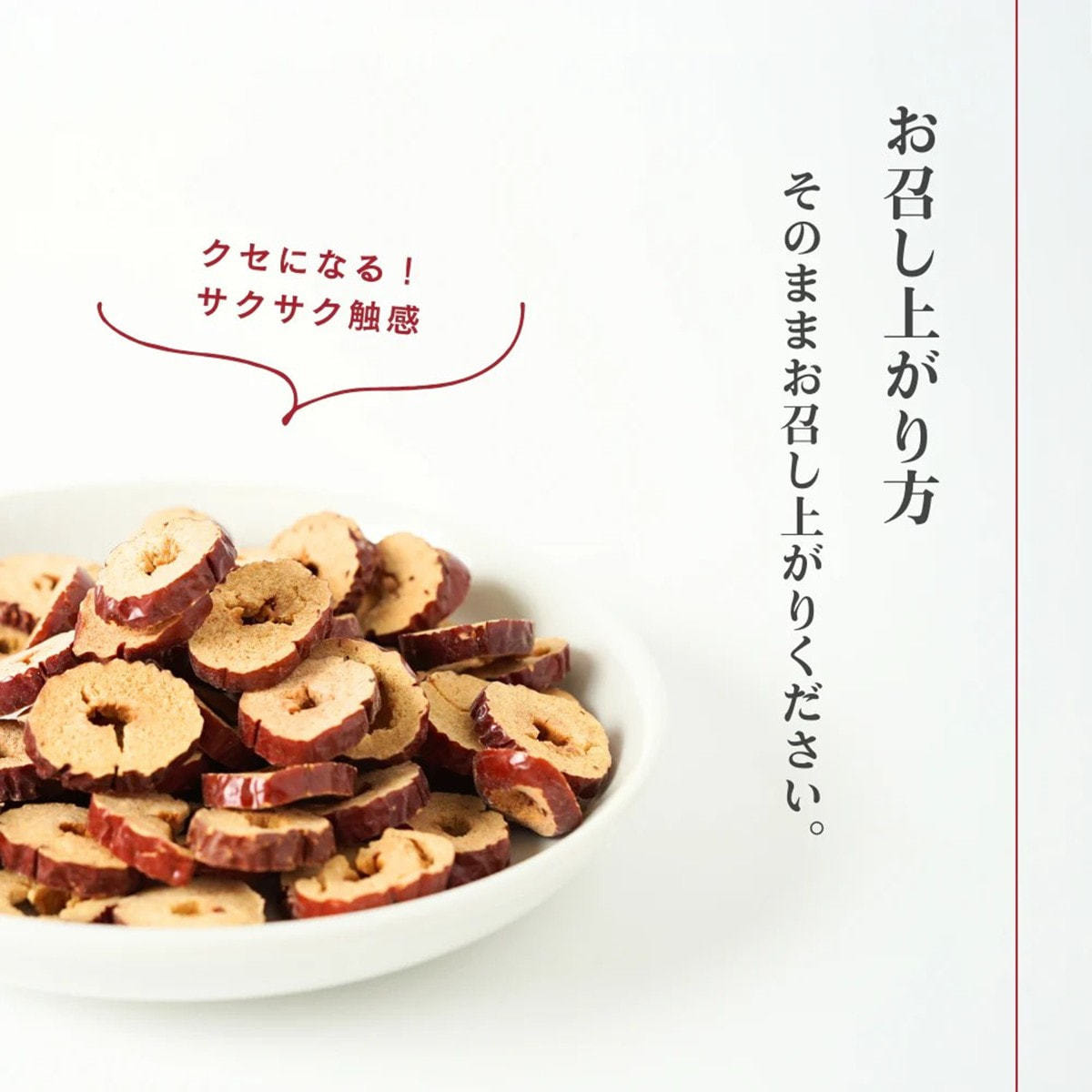 生活の木 なつめのおやつ なつめチップス 40gの通販・卸売り | アイ