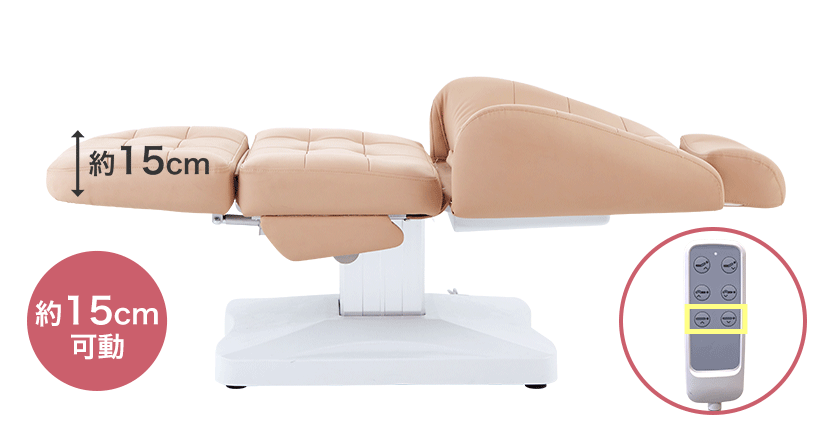 電動3モーターリクライニングチェア DITE(ディーテ) レッグレスト