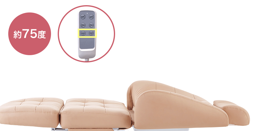 電動3モーターリクライニングチェア DITE(ディーテ) レッグレスト