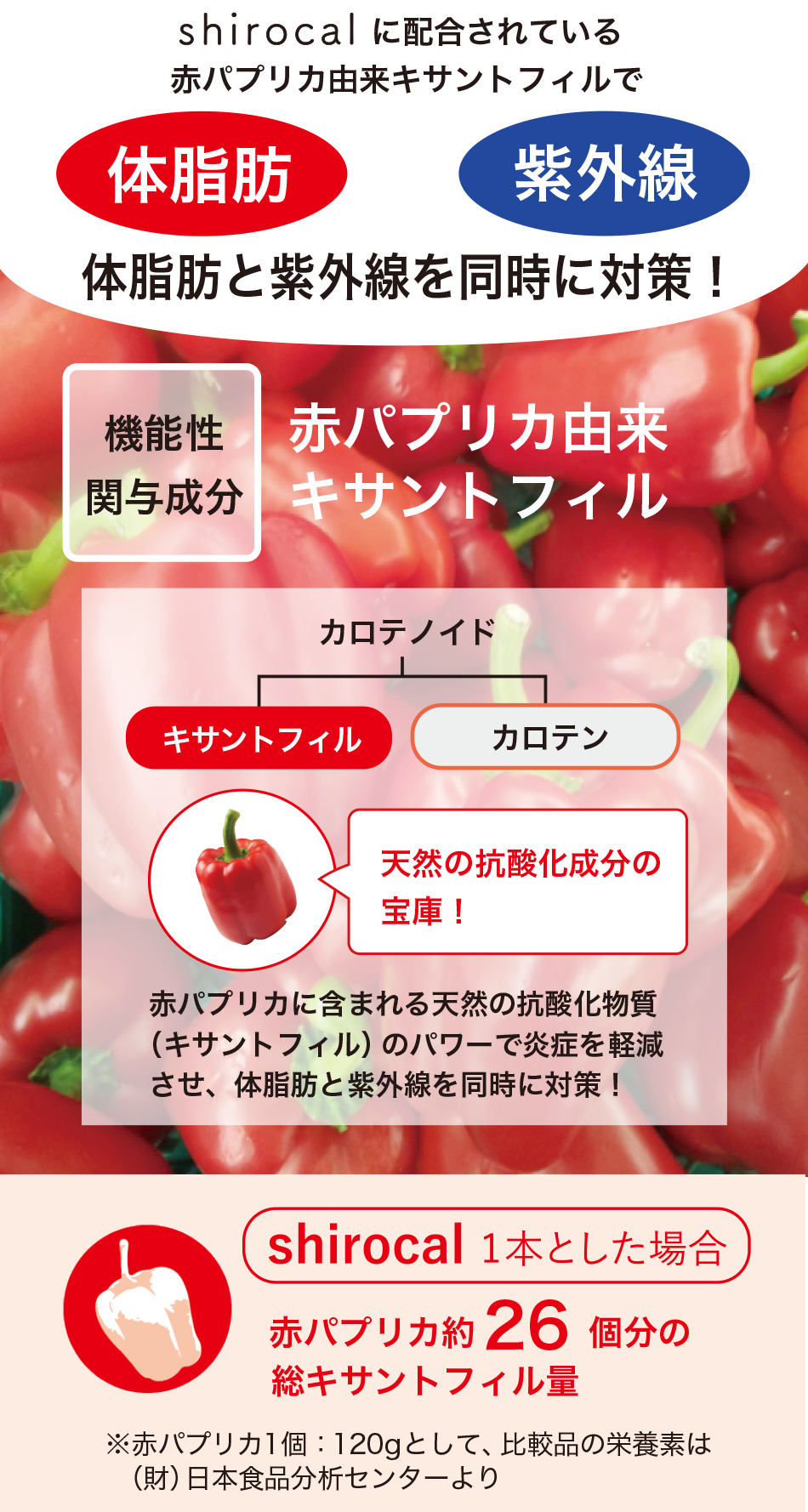 shirocal（シロカル）62粒入り【機能性表示食品】の通販・卸売り